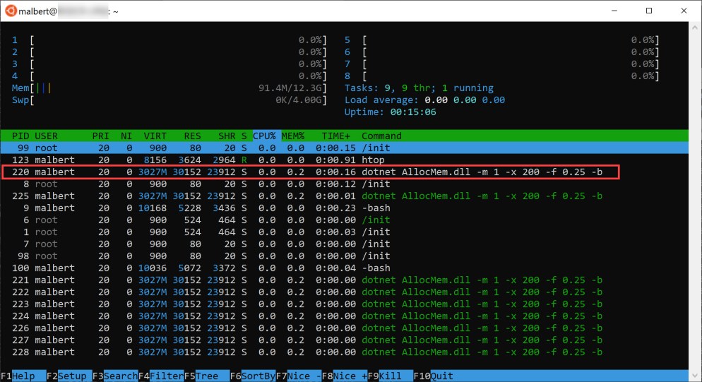 A tool to leak memory on Windows, Linux and Within Containers – Mihai ...